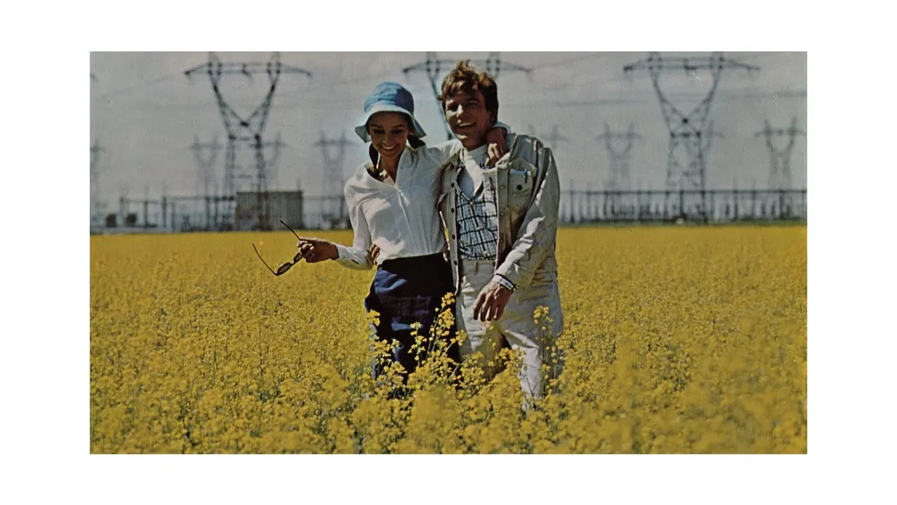 Фильм Двое в пути (1967)